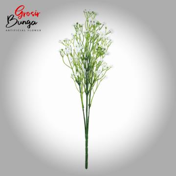 Bunga Peacock Pendek